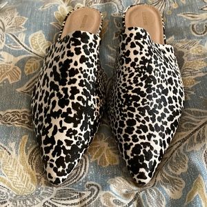 New A Rider Girl Shoes